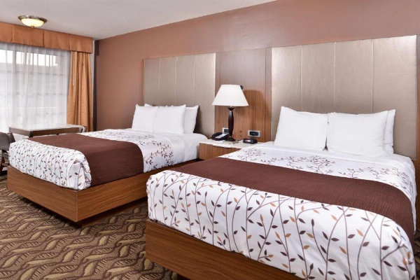 Best Western Airport Plaza Inn - Los Angeles LAX Hotel image 15