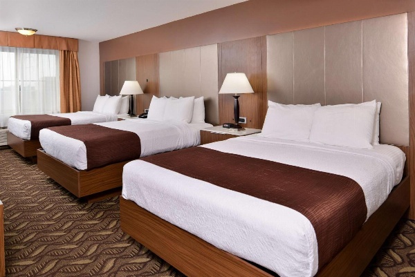 Best Western Airport Plaza Inn - Los Angeles LAX Hotel image 5